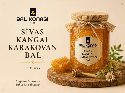 Sivas Kangal Karakovan Bal (1500GR)
